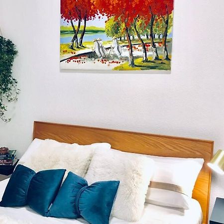 Home In The Heart Of Mannheim, Free Parking, Netflix, Fast Wifi Esterno foto